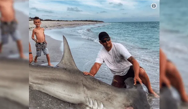 Facebook: Se toma foto con un tiburón martillo y un detalle se roba toda la atención [VIDEO]