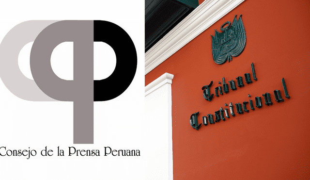 Consejo de la Prensa pide a TC que ‘Ley Mordaza’ sea declarada inconstitucional