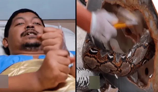 Un video viral de Facebook mostró el desgarrador relato de un hombre mordido por una serpiente pitón de 3 metros, mientras realizaba sus necesidades fisiológicas.