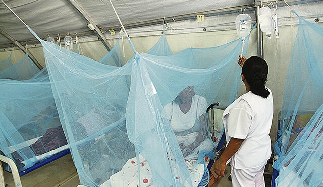 Casos de muertes por dengue en la región Piura son investigados por Susalud 