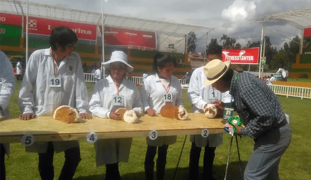 Huancayo: Seleccionan a las mejores líneas de cuy y razas de conejos