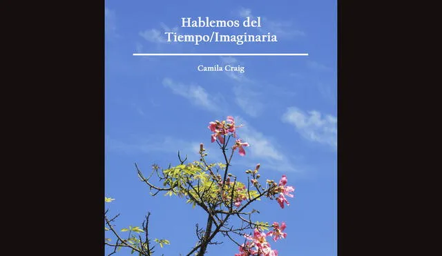 PORTADA DE LIBRO.