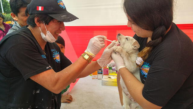 campaña veterinaria gratuita en Huarochirí