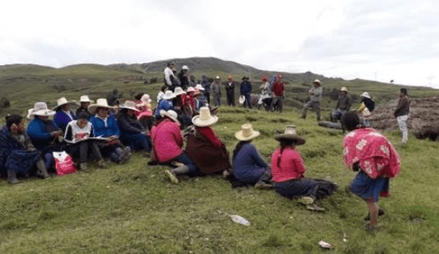 Pobladores de Santiago de Chuco tendrán ingresos con la siembra de pino radiata