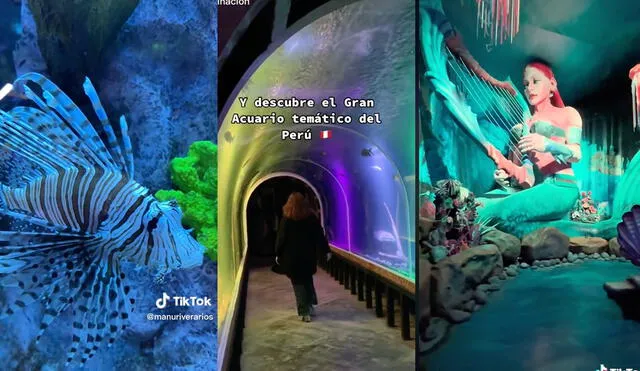 Parque de la Imaginación presenta su acuario. Foto: captura de TinkTok/ Manu Rivera/ @PQImaginación/ @lahijita