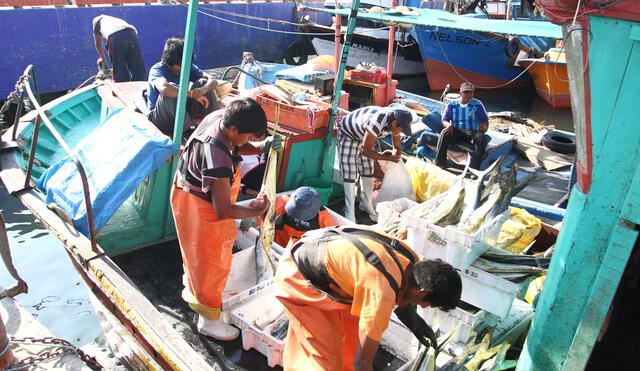 La segunda temporada de pesca de anchoveta empieza a fines de noviembre