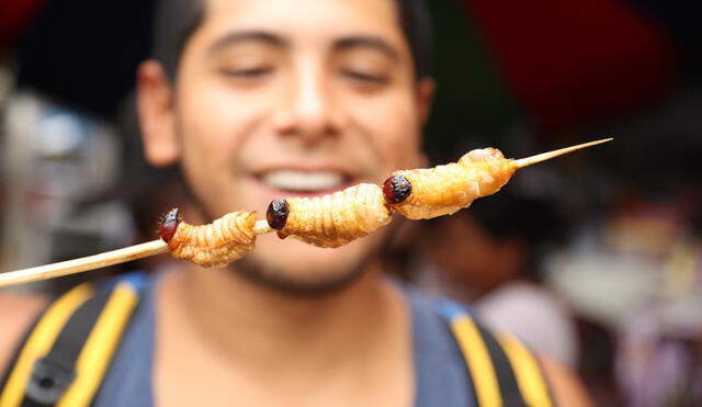 En el Perú se consumen más de 170 especies de insectos. El más popular es el suri. Foto: César Von Bancels.