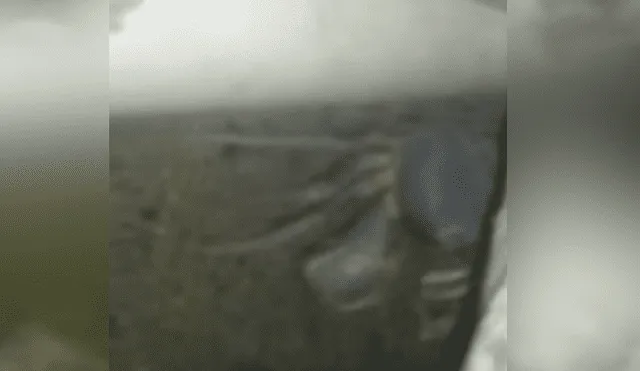 Un video viral de Facebook muestra al cangrejo con cientos de crías escondido en una tubería.
