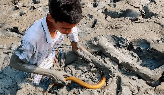 YouTube viral: joven se sumerge en estanque de fango y descubre misteriosa criatura cuyo aspecto sorprende a miles
