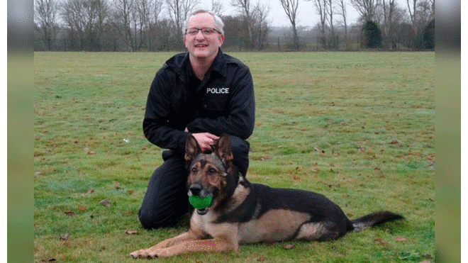 Ley Finn: Maltrato a perros y caballos de servicio policial será sancionado