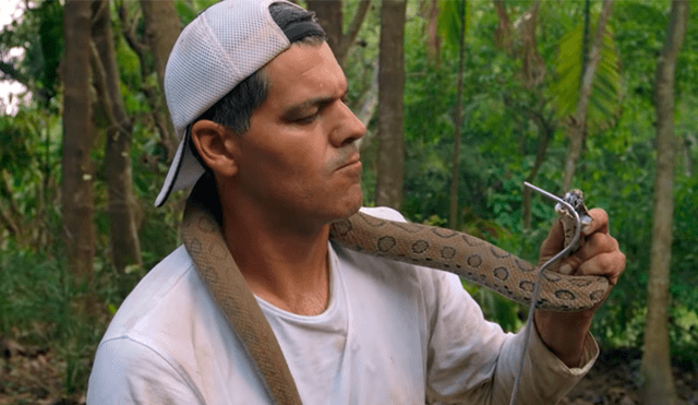 En YouTube se hizo viral la arriesgada expedición para encontrar a una de las serpientes más letales del mundo.
