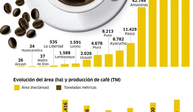 Producción del café peruano [INFOGRAFÍA]