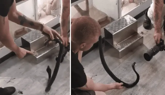 Facebook viral: fotógrafo realiza osada maniobra para hipnotizar a letal serpiente