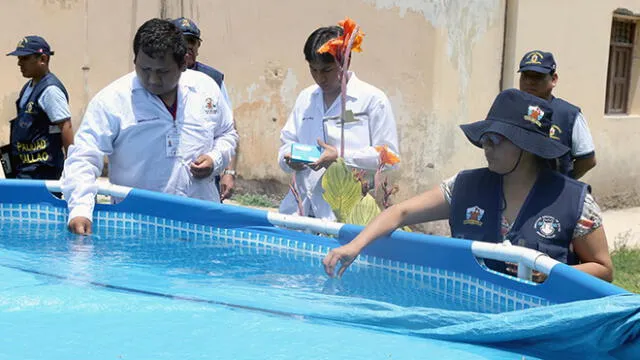 Callao: supervisan piscinas para evitar enfermedades 