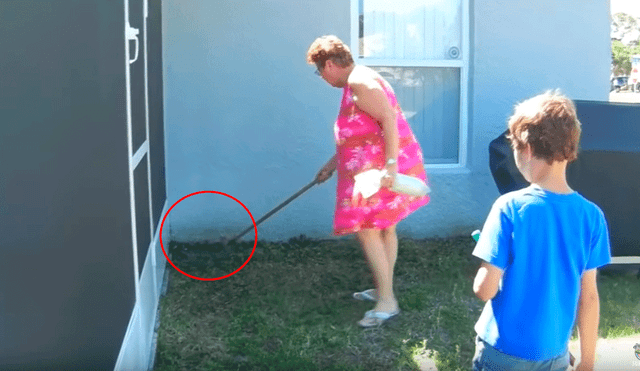 YouTube viral: mujer intenta deshacerse de serpiente y sucede lo peor [VIDEO]