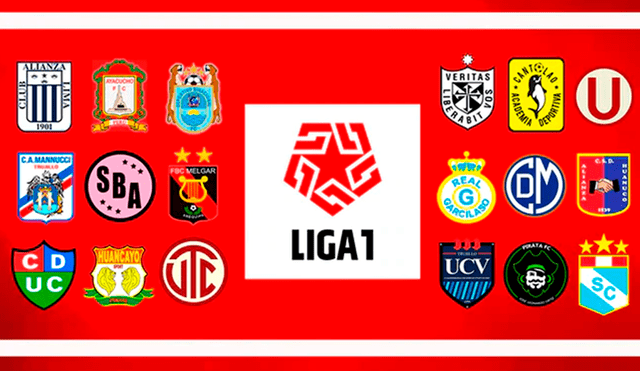 Este domingo se juega la última fecha del Torneo Clausura 2019. | Foto: GLR