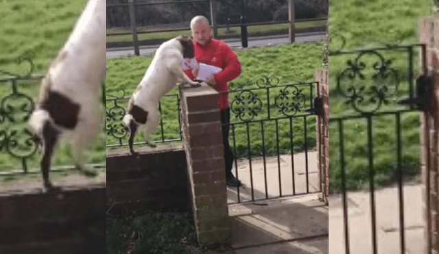 Video es viral en YouTube. Dueña del can compartió el peculiar recibimiento que su mascota le da al cartero cada vez que este va a la casa para dejar algo.