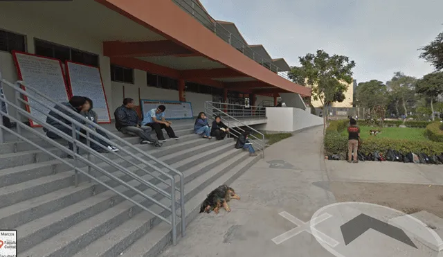 Google Maps: captan a la querida mascota 'Perrovaca' en su lugar favorito de la UNMSM [FOTOS]