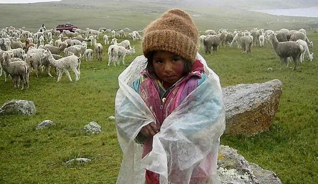 Recolectan ropa y alimentos para llevar a zonas azotadas por el frío en Puno 