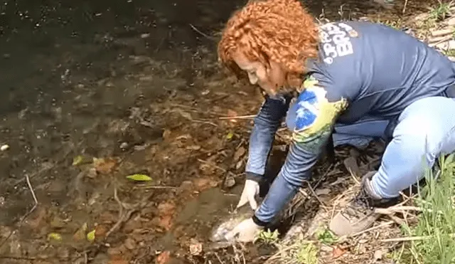 Pescador emerge su mano dentro de un misterioso río de Brasil.