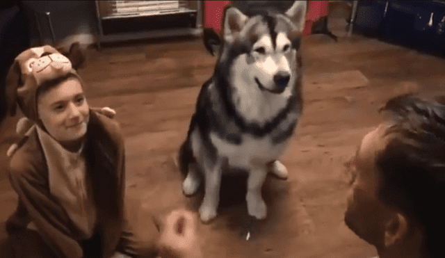 Vía Facebook: se disfrazó de perro para enseñarle a su mascota trucos y resultado enternece