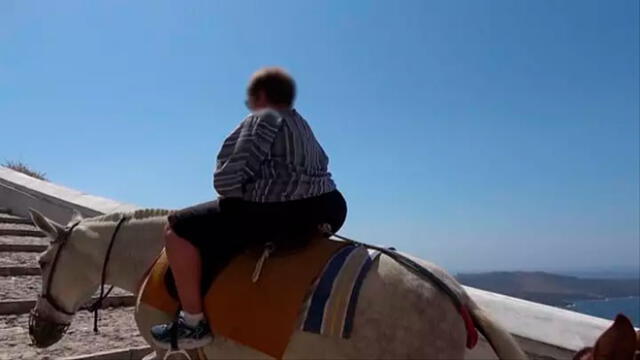 PETA denunció que en Grecia obligan a los burros a cargar turistas con sobrepeso. Foto: Difusión
