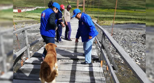 Advierten grave riesgo por puente usado para llegar a colegio en Puno [VIDEO]
