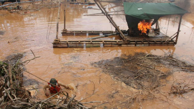 Especialistas de 9 áreas naturales luchan contra la minería ilegal