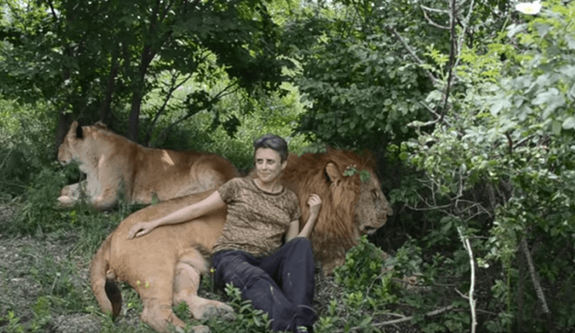 Desliza hacia la izquierda para ver el encuentro de la mujer con dos leones. Imágenes virales de YouTube.