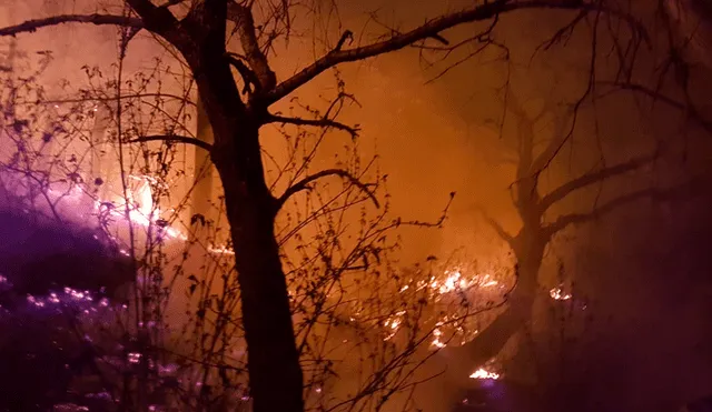 Cerro del Chiquihuite: así se vio el incendio forestal en Ciudad de México [FOTOS y VIDEO]