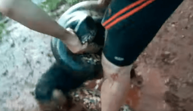 Video es viral en YouTube. Ciclista llegó con su perro a un río para beber agua y fueron sorprendidos por una gigantesca anaconda que atacó intempestivamente al can