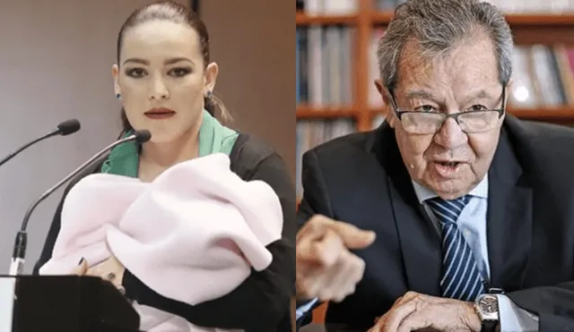 Diputado critica a senadora mexicana por cargar a bebé mientras intervenía