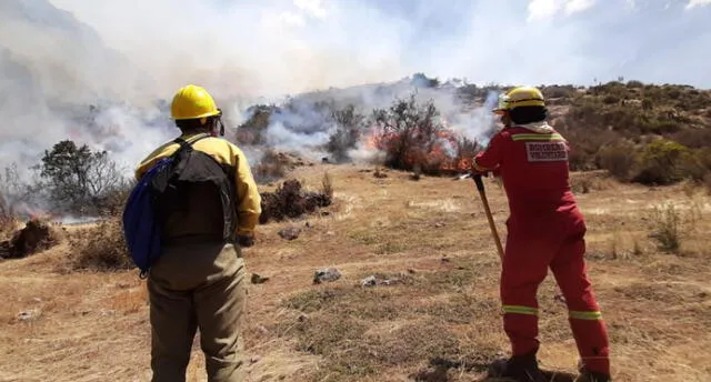 Brigadistas luchan por apagar los incendios forestales iniciados ayer en siete zonas de Cusco.