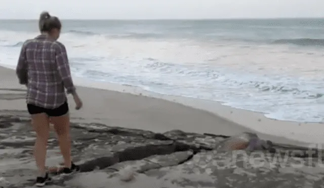 Jóvenes encuentran misteriosa criatura atrapada entre las rocas.