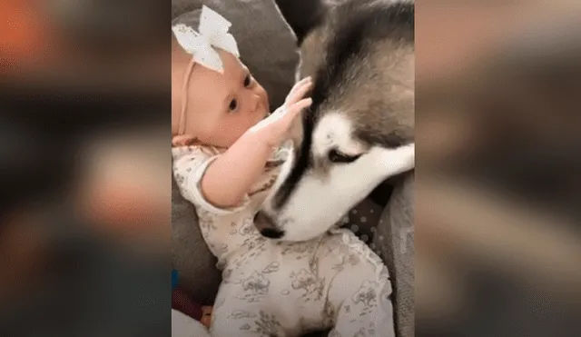 Desliza hacia la izquierda para ver el tierno momento de un perro y un bebé. Imágenes del viral de Facebook.