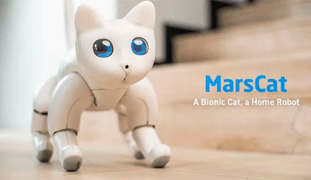 Desliza a la izquierda para descubrir este tierno robot.