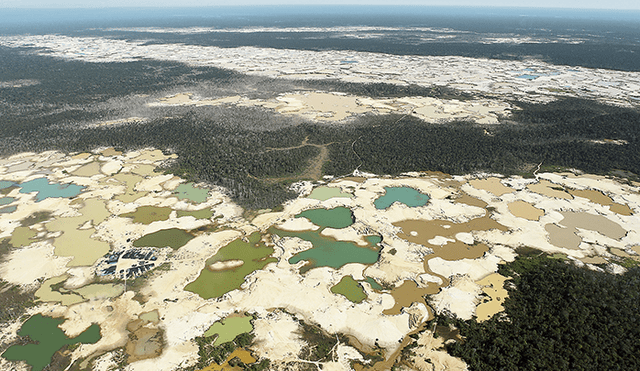 Alerta. La Amazonía sufre su peor crisis ambiental. (Foto: Aldair Mejía)