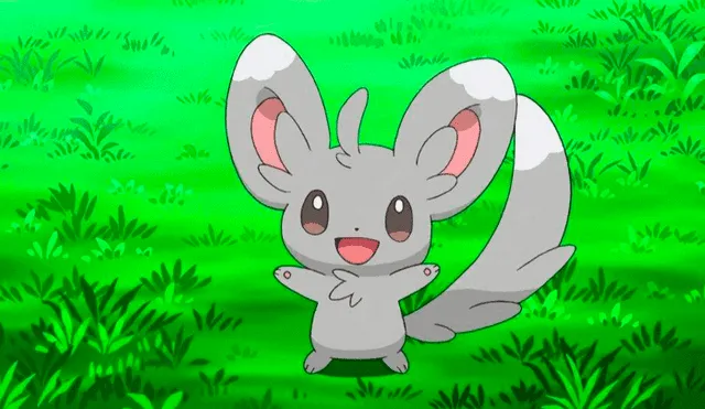 Minccino tendrá investigación especial en Pokémon GO.
