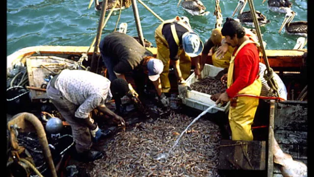 Pescadores advierten mal uso de recursos pesqueros 