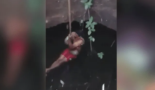 Desliza hacia la izquierda para ver el momento en que un osado hombre atrapa a una serpiente pitón, escena viral de YouTube.