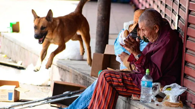 Bolivia: perro ayuda a brindar comida a los más pobres en plena cuarentena por el coronavirus [FOTOS]