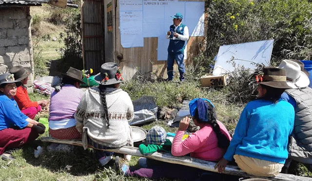 Ayacucho: agricultores aprenden el manejo integrado de plagas de la papa