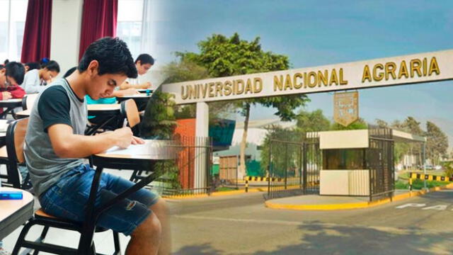 Revisa los resultados del examen de admisión de la Universidad Nacional Agraria La Molina. Foto: Composición