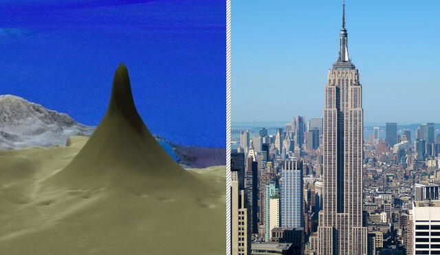 El nuevo arrecife es más alto que el Empire State y las Torres Gemelas Petronas de Malasia | Foto: Composición LR / Schmidt Ocean Institute / Jiuguang Wang