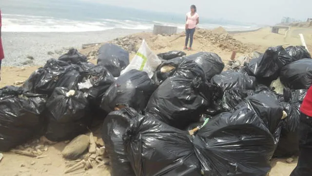 Recolectan 3 toneladas de basura en limpieza de zona costera 