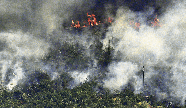 Incendio en la Amazonía: Pedidos de ayuda y protestas en Madre de Dios y Lima