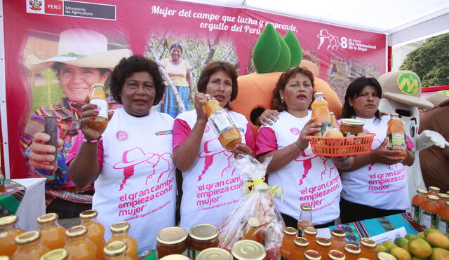 El 33% de las madres en el Perú son emprendedoras