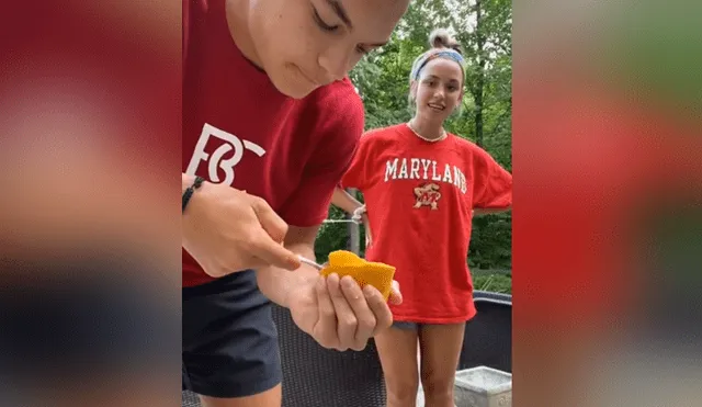 Un joven mostró un curioso truco para cortar mango de manera muy sencilla. Foto: TikTok