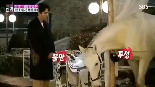 Desliza para ver más fotos de Lee Min Ho y el caballo Maximus de The king: Eternal monarch.