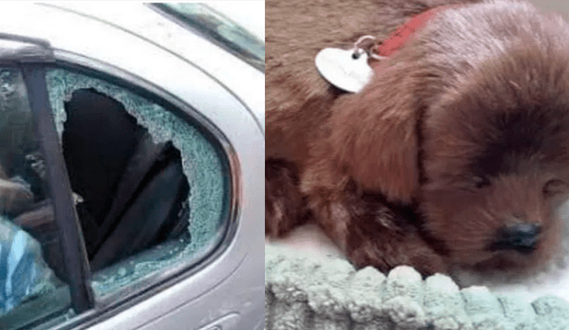 Facebook: destruyen ventana de un auto para rescatar a perro pero huyen al conocer la verdad